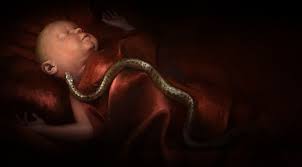 Crusader Kings 3 will let you build a dysfunctional family in 2020 | PC  Gamer