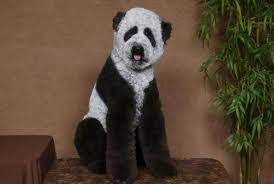 10 Dogs That Look Like Pandas Panda Dog Cute Animals Dog Grooming