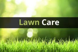 Mow as often as is needed, and make sure you are mowing at the proper height for your type of grass. Home Blue Grass Lawn Care Landscaping Service