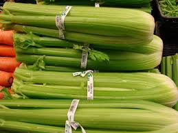 Image result for Apium graveolens