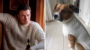 Moviesjoy is a free movies streaming site with zero ads. Chris Evans Gets His Dog Dodger A Matching Knives Out Sweater For Christmas Cnn Video