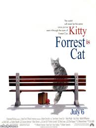 cat movies pictures freaking news cat movie cats crazy cats