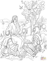 Parable Of Mustard Seed Christian Coloring Bible Coloring Pages Bible Coloring