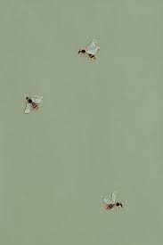 Pin By Flor Ramos On Planner Iphone Wallpaper Green Mint Green Aesthetic Green Aesthetic