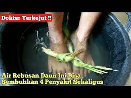 Subhanallah Asam Urat Kesemutan Rematik Kebas Sembuh Dengan Berendam Air Rebusan Daun Ini Youtube Rebusan Diet Detoks Asam Urat
