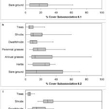 Image result for Eriocephalus luederitzianus