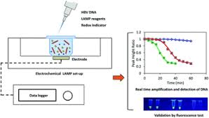 How could you write so that it takes a constant amount of space and a reasonable amount of time? Development Of A Portable Electrochemical Loop Mediated Isothermal Amplification Lamp Device For Detection Of Hepatitis B Virus Rsc Advances Rsc Publishing