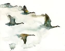 Doriforo Original Painting Oil On Canvas 16x20inch Etsy Watercolor Bird Bird Watercolor Paintings Birds Painting