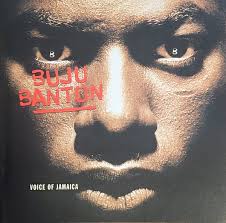 Lily Salinas Discography: Vinyl, CDs, & More