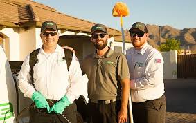Check spelling or type a new query. Pro Active Pest Control Trusted Pest Control Solutions Since 2013