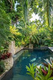 Swimming Pool And Tropical Garden In 2021 Tropical Pool Landscaping Tropical Backyard Tropical Backyard Landscaping