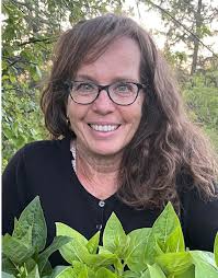 Rose of Sharon still hosting our 🐝