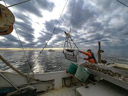 Experience, Engage and Enjoy the 2023 Chesapeake Film Festival