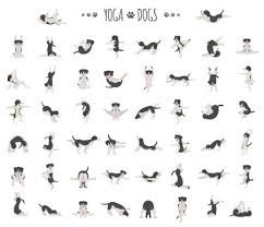 The postures serve as an inspiration guide, but please encourage the. Yoga Dogs Poses And Exercises Doing Clipart Funny Cartoon Poster Royalty Free Cliparts Vectors And Stock Illustration Image 127168789