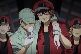 Looking to watch another anime? Cells At Work Code Black Episode 1 Spoilers Where To Watch Online Otakukart