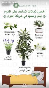 Pin By ام زينب On شتلات للمنزل Container Herb Garden Planting Herbs Vegetable Garden Design