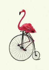 Pin By Soren Wolf On Arm Flamingo Art Flamingo Art Print Victorian Art