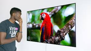 Samsung 2021 4k and 8k tvs: Dope Tech The 4k Oled Wallpaper Tv Youtube