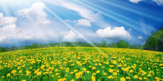 Weeks Until Spring Countdown To Spring