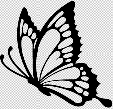 Pin By Bekir Imer On Siluets Stencils Butterfly Tattoo Stencil Butterfly Drawing Butterfly Stencil