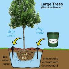 Diy drip line irrigation system. Tree I V Deep Root Watering Spike Diy Kit