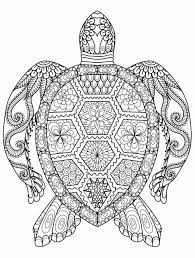 Animals Coloring Book Pdf Free Download Unique Sea Turtle Printable Coloring Pages At Getdra Turtle Coloring Pages Mandala Coloring Pages Animal Coloring Pages