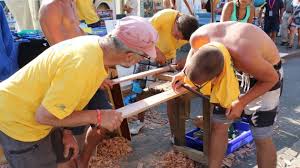 Photo Termes de marine. Tous les mots du bois de charpente à connaître