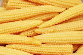 Baby Corn Cooking And Serving Tips Harvest To Table