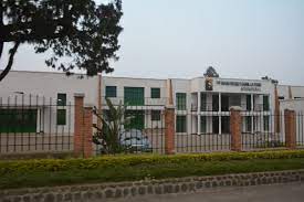 Apr 02, 2014 · dian fossey was a zoologist best known for researching the endangered gorillas of the rwandan mountain forest from the 1960s to the 1980s, and for her mysterious murder. Digit Fund Wikipedia