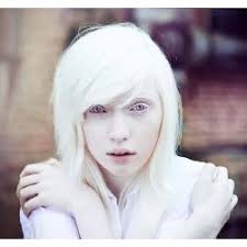 Newly published Albino Fanfiction Stories