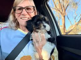 Dindi Rides is pleased to announce the birth of our first cria