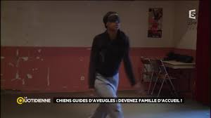 We did not find results for: Chiens Guides D Aveugles Devenez Famille D Accueil Youtube