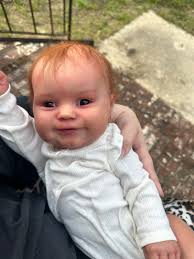 Blackpink in the Woods Photocard Set