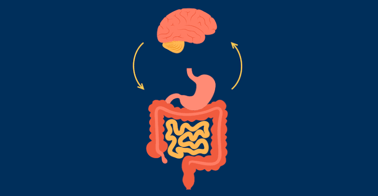 The Gut-Brain Connection