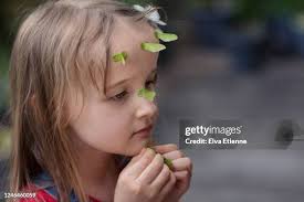 1,565 Samara Day Am Stock Photos, High-Res Pictures, and Images