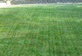 Valley Premier Landscaping LLC