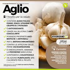 Check spelling or type a new query. Aglio Proprieta Benefici Consigli D Uso E Controindicazioni