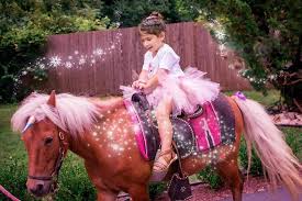 Looking to book a mobile petting zoo for an upcoming birthday party or event? Traveling Pony And Petting Zoo Rental Www Ponyandpals Com