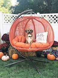 Maybe you would like to learn more about one of these? Different Types Of Hanging Egg Chairs Hanging Chairs