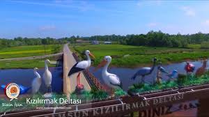 Samsun Kizilirmak Deltasi Kus Cenneti Turkiye Nin En Buyuk Deltalarindan Birisidir Kizilirmak Deltasi Samsun A 30 Km Mesafede Bir Doga Cenn Animals Gin Doves