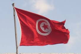 Revolter i andra länder följde, men tunisien framstod snart som det enda exemplet där verklig demokratisering kom till stånd. Lilla Tunisien