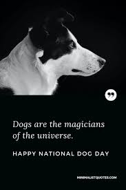 When you are sad or have had a bad and tiring day then just a cute dog can make it a good day for you. Dogs Are The Magicians Of The Universe Happy National Dog Day