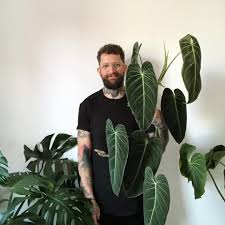 Philodendron Melanochrysum Philodendron Creepers Plants Rare Plants