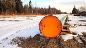 The province was the first in canada to make an Ibnqwwbnb4zwom