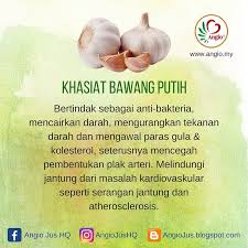 Bau yang terdapat pada bawang putih adalah bau sulfur dan asid alil. Khasiat Bawang Putih Angio Jus Kolesterol Dan Jantung