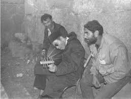 الانسان  الشيخ  امام  وذئاب  الاسلام  السياسي  …