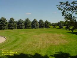 Often times grub damaged grass will pull out very easily at the roots. Is It Too Late To Treat For White Grubs Horticulture And Home Pest News