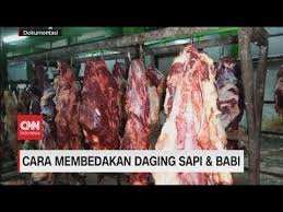 Biasanya digunakan untuk membuat bakso, semur, dendeng, rendang, gulai dan beberapa resep sate. Cara Membedakan Daging Sapi Babi Youtube