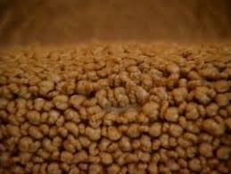 Vinyl plank hardwood floors carpeted living room & bedroom brushed nickel fixtures granite like countertops all new black appliances solar screens located in a quiet residential neighborhood, we offer newly. Denton Carpet Store Carpets Plus Tx Carpeting