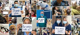 Maybe you would like to learn more about one of these? Vca All Pets Hospital Home Facebook